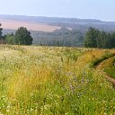 ���� ������, ����, 55 ��� - ��������� 30 ���� 2010 � ������ ��������