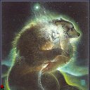 ���� Bastet6, �����-��������� - ��������� 10 ������� 2009 � ������ ���� ����������