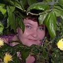 ���� ��, ������, 59 ��� - ��������� 31 ����� 2012 � ������ ���� ����������