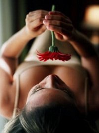 �����, ������ ��������, 39 ���