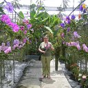 ���� ������, ����������, 55 ��� - ��������� 7 ���� 2011 � ������ ���� ����������