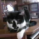   ,  -  26  2013        =)