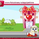  , --, 44  -  22  2011   PetLove