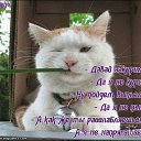���� �����, ������ - ��������� 26 ������ 2012 � ������ �����������