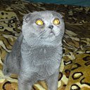 ���� ����, �������, 45 ��� - ��������� 2 ������� 2011