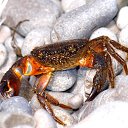 ���� Rus, ������, 40 ��� - ��������� 17 ������ 2013