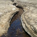 ���� ���������, �����-���������, 55 ��� - ��������� 18 ���� 2012 � ������ ��� ������