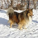 ���� ����, ������, 58 ��� - ��������� 17 ������� 2012 � ������ ���� ����������