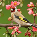 ���� ����, ������������ - ��������� 28 ������ 2011 � ������ �Avataria�