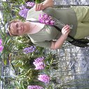 ���� ������, ����������, 55 ��� - ��������� 7 ���� 2011 � ������ ���� ����������