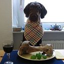 ���� Alex, ���������, 44 ���� - ��������� 27 ������ 2009 � ������ ���������