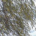 ���� �������, ������, 64 ���� - ��������� 14 ��� 2013 � ������ �������� �����