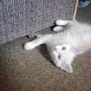 ���� �������, ������, 45 ��� - ��������� 4 ���� 2013 � ������ ���� ����������