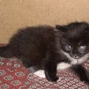 ���� ���������, ������ ��������, 46 ��� - ��������� 28 ������ 2009 � ������ ���� ��������: ������ � �����