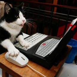 ���� ����, �����, 51 ��� - ��������� 2 ���� 2010