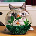 ���� Larky(��������� � �����!), �����������, 41 ��� - ��������� 18 ������� 2010