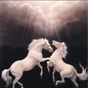 ���� ����, ������������ - ��������� 18 �������� 2011 � ������ ���� ����������