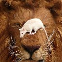 ���� ������, �������, 29 ��� - ��������� 24 ������� 2010 � ������ ���� ����