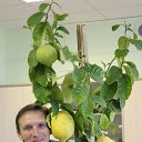 ���� ������, �����������, 56 ��� - ��������� 16 ������� 2012 � ������ ���� ����������