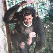 ������ �����, 46 ���, �����������