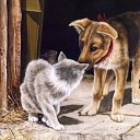 ���� ����� - ���������� ��������!!!, �����������, 56 ��� - ��������� 14 ������� 2009 � ������ ���������� �������Ż