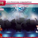 ���� ����, ������, 38 ��� - ��������� 3 ������ 2011 � ������ �PetLove�