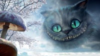 ���� �������, �����-���������, 33 ���� - ��������� 18 ������ 2011 � ������ ���� ����������