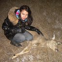  , , 33  -  15  2010   ...   )))