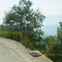 ���� ������, ��������, 42 ���� - ��������� 9 �������� 2011 � ������ �I love Montenegeo�
