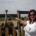 ���� �����, ������, 44 ���� - ��������� 1 ������ 2011 � ������ ���� ����������