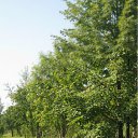 ���� ������, ���������, 47 ��� - ��������� 2 ������� 2012 � ������ �fdnjrkfd�