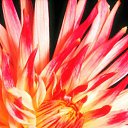 ���� ����� - ���������� ��������!!!, �����������, 56 ��� - ��������� 11 ������ 2010 � ������ ����������