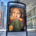 ���� �����, �����-���������, 59 ��� - ��������� 31 ����� 2010 � ������ ������������