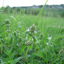 ���� ������, ������ - ��������� 25 ��� 2012 � ������ ���� ����������