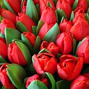 ���� Smile, ������, 55 ��� - ��������� 12 ������ 2010 � ������ ���� ����� � ������