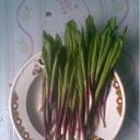 ���� Vlad, ������ - ��������� 1 ��� 2011 � ������ ��������