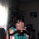 ���� ��������, ������, 65 ��� - ��������� 7 ���� 2011 � ������ ���� ����������