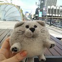 ���� ����������� ������������, ����� ������, 37 ��� - ��������� 21 ���� 2013 � ������ ���� ����������