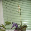 ���� ������, ���������� - ��������� 2 ������� 2012 � ������ ���� ����������