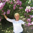 ����,��� 2013 �., 
������������ ��� �� ������� ���� ����������