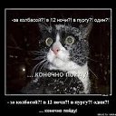 ���� ������, ������, 35 ��� - ��������� 23 ��� 2013 � ������ ���� ����������