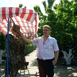 ���� ���, ��������������, 49 ��� - ��������� 13 �������� 2010