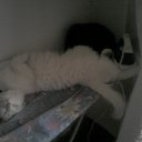 ���� �����, ������, 57 ��� - ��������� 17 ������ 2011 � ������ ���� �������� � ���߻