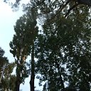  , , 41  -  13  2010   ~  ~