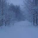 ������ � ����... �� ������� ����� 2010�