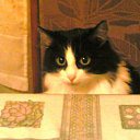 ���� �����, ������ - ��������� 25 �������� 2011 � ������ �������