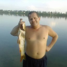 ���� ��������, ����, 59 ��� - ��������� 15 ����� 2013