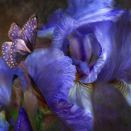 ���� �������, �����, 49 ��� - ��������� 5 ���� 2013