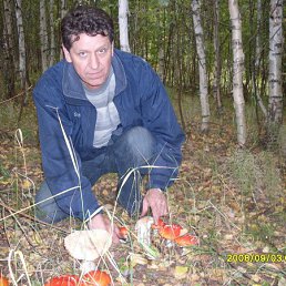 ���������, �����, 65 ���