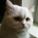 ���� ����, �����������, 60 ��� - ��������� 25 ������� 2012 � ������ ���� ����������